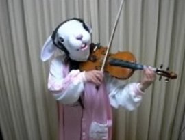 Avatar for ウサコ