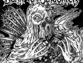 Avatar for Born For Slaughter