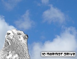 Avatar for 10 Marmot Drive