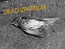 Аватар для Dead Sparrow
