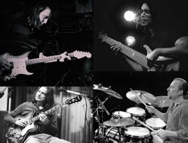 Michael Landau, Robben Ford, Jimmy Haslip & Gary Novak 的头像