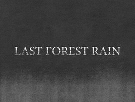 Avatar de Last Forest Rain