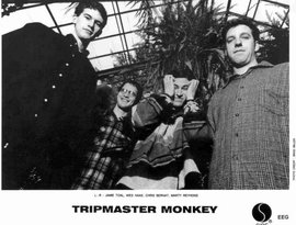 Awatar dla Tripmaster Monkey