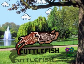 Avatar for Cuttlefish
