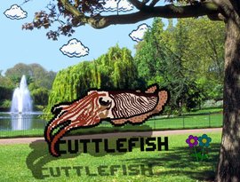 Cuttlefish 的头像