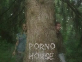 Porno Horse 的头像