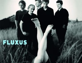 Avatar de Fluxus