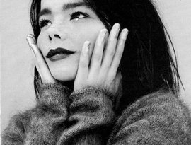 Avatar for Björk