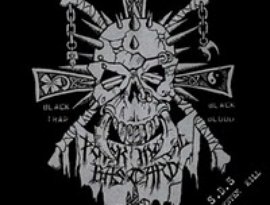 Avatar for S.D.S(Societic Death Slaughter)