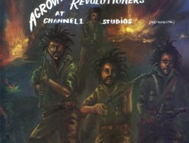 Avatar für Aggrovators And Revolutionaries