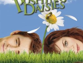Pushing Daisies OST 的头像