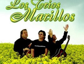 Los Trios Marillos 的头像