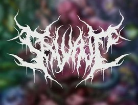 Avatar de Salvaje
