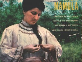 Avatar for Nada Mamula