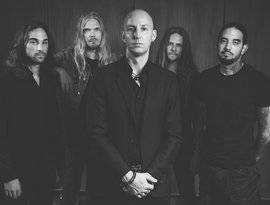 Soen 的头像