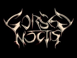 Avatar for Gorsed Noctis