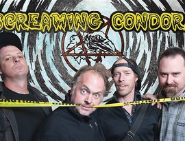 Аватар для Screaming Condors