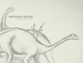 Mathew Snow 的头像