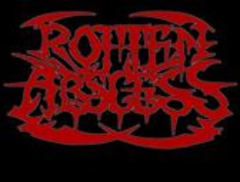 Rotten Abscess 的头像