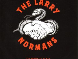 Awatar dla The Larry Normans