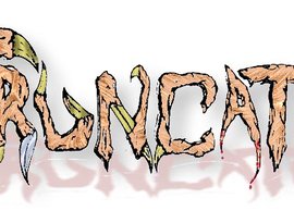 Avatar for Truncator