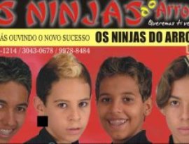 Avatar for Ninjas do Arrocha