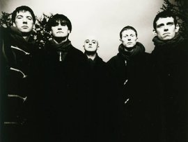 Avatar de Inspiral Carpets