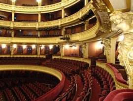 Avatar for Orchestre Du Theatre National de l'Opera-Comique