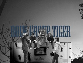 Avatar de Rock Group Tiger