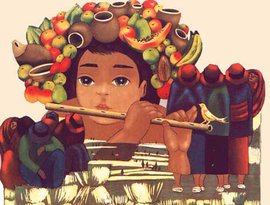 Avatar for Cañas Andinas