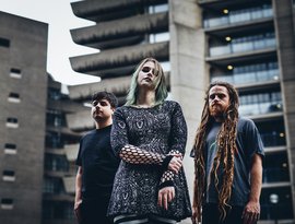 Pupil Slicer 的头像