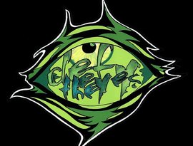 Defy The Eyes 的头像