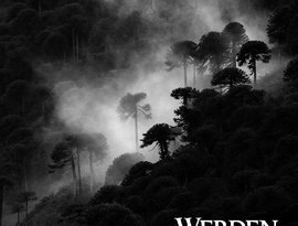 Werden 的头像