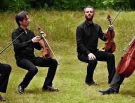 Avatar for Quatuor Béla