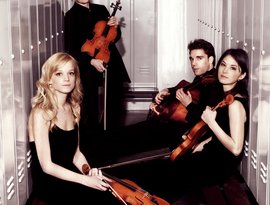 Minetti Quartett 的头像