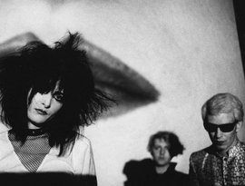 Аватар для Siouxsie and the Banshees