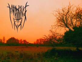 Mourning Fog 的头像