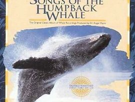 Avatar for Humpback Whale