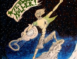 Wildwood Holler! 的头像