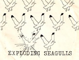 Awatar dla Exploding Seagulls