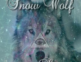 Snow Wolf 的头像
