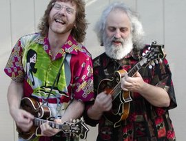 Awatar dla Sam Bush & David Grisman