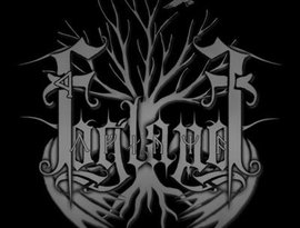Avatar for Fogland