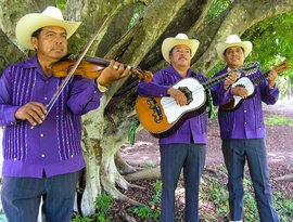 Avatar for Los Camperos de Valles