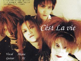 C'est～La～vie 的头像