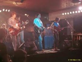 Gene Clark's Byrds Tribute 的头像