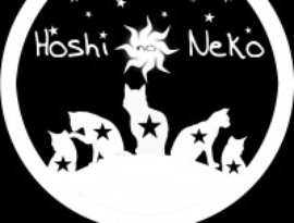Hoshi no Neko のアバター