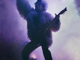 Prince 的头像