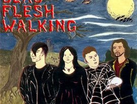 Dead Flesh Walking 的头像
