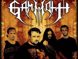 Gammoth 的头像